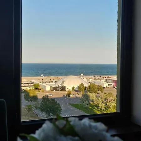Asylum * Mamaia