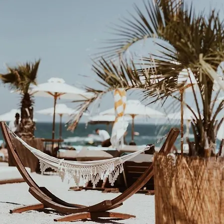 Asylum Mamaia